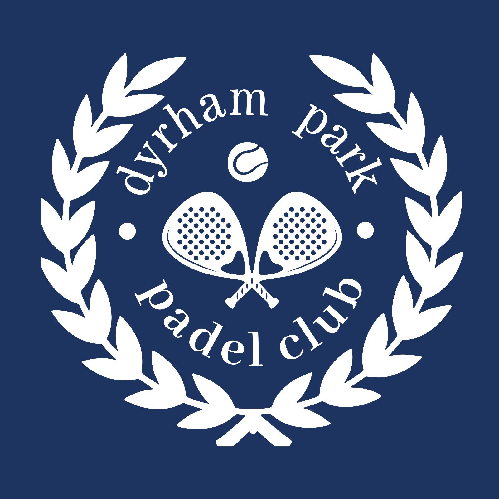 Dyrham Park Padel League Logo